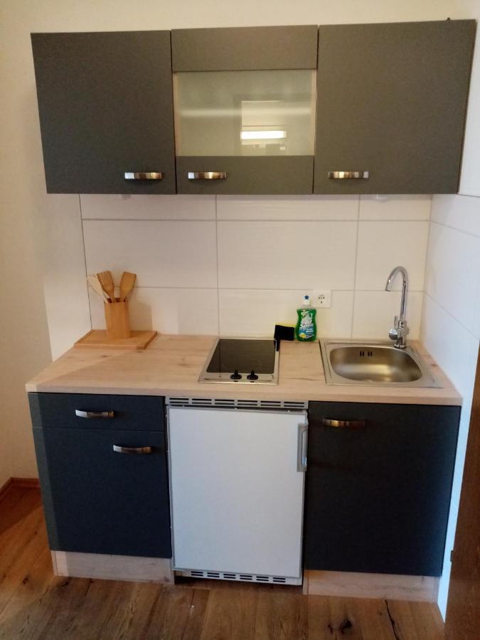 Apartment Diana Bad Goisern Dış mekan fotoğraf