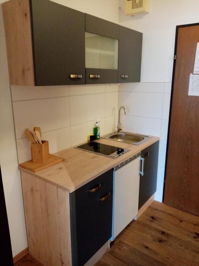 Apartment Diana Bad Goisern Dış mekan fotoğraf